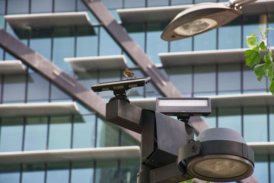 Low angle view of telephone pole against building