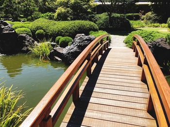 Footbridge amidst plants and trees