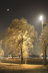 Illuminated street light against sky at night