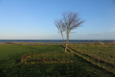 Scenic view of sea against clear sky
