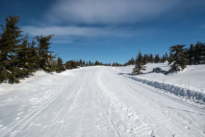 Road amidst snow covered trees against sky