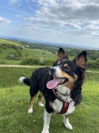 Dog running on field against sky