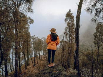 Rear view of man standing by trees against sky