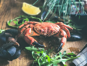 Close-up of crab on table