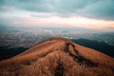 Scenic view of agricultural field against sky during sunset