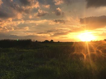 Scenic view of field against sky during sunset