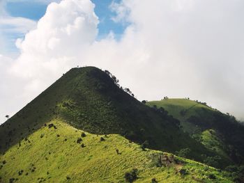 Scenic view of landscape against cloudy sky