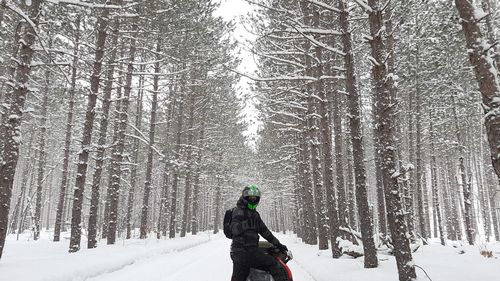 Person snowmobiling through the snowy forest in winter
