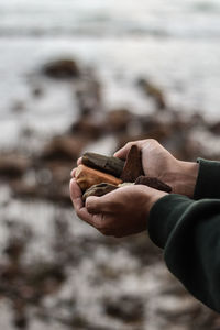 Close-up of hand holding leaf at beach