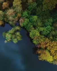 High angle view of lake amidst trees in forest