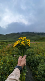 Cropped hand of woman holding yellow flowering plants on field against sky