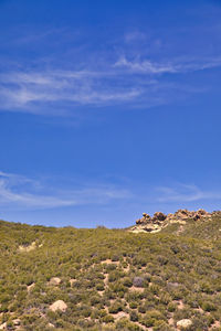 Scenic view of landscape against blue sky