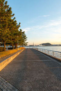 Road by trees against sky