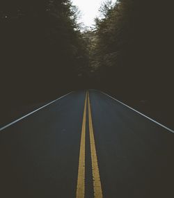 Road amidst trees