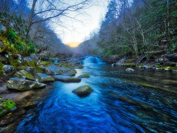 River flowing through rocks in forest