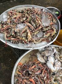 Seafood with ice in containers