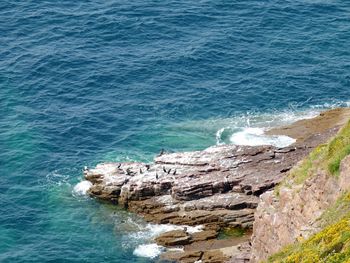 Scenic view of sea