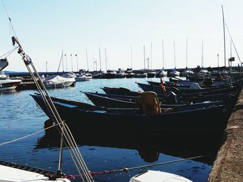 Sailboats moored at harbor against clear sky