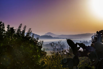 Silhouette trees by mountains against sky during sunset