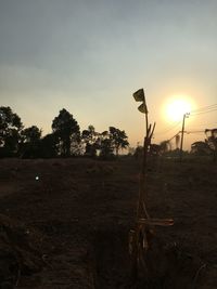 Silhouette trees on field against sky during sunset