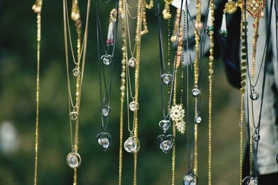 Close-up of raindrops on plants