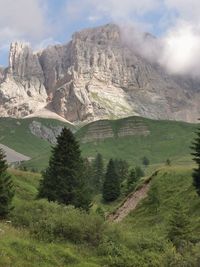 mountain