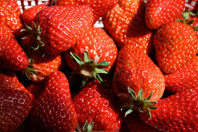 Full frame shot of strawberries