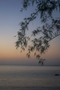 Scenic view of sea against sky at sunset