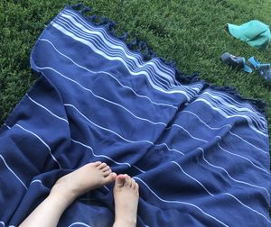 Low section of person over blanket on grass