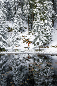 Mid distance view of woman standing in forest during winter