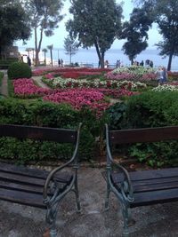 Flower plants against trees