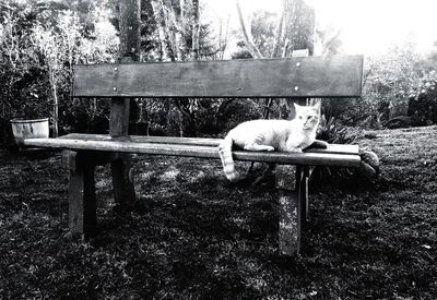 Benches in park