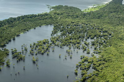 Beautiful aerial view to negro river green amazon island archipelago
