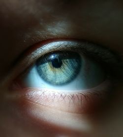 human eye