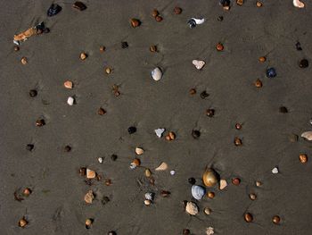 High angle view of sand on beach