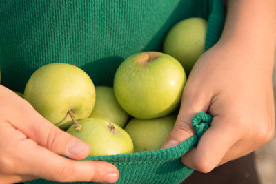 Close-up of hand holding apple