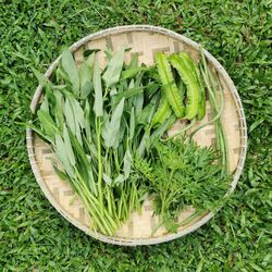 High angle view of vegetables in basket