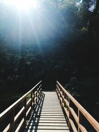 View of footbridge in forest on sunny day