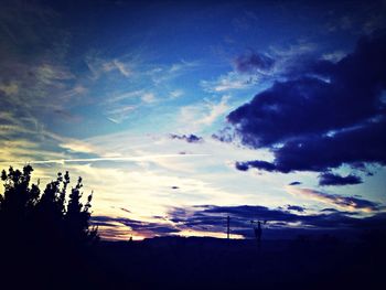 Silhouette of trees at sunset