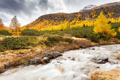 Scenic view of stream by trees against sky during autumn