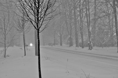 Road passing through snow covered landscape