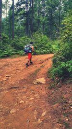 Full length of woman standing in forest