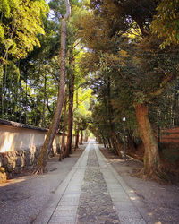 Footpath amidst trees in park