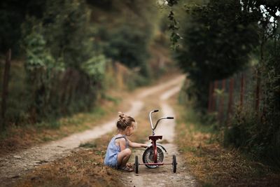 Bicycle on road amidst trees