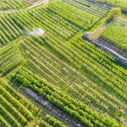 Scenic view of agricultural field