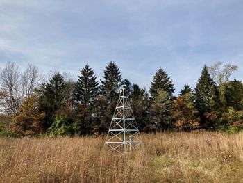 Trees on field against sky