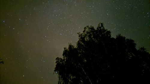 Low angle view of silhouette trees against sky at night