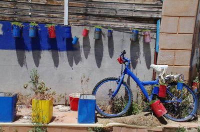 Multi colored bicycle leaning against wall