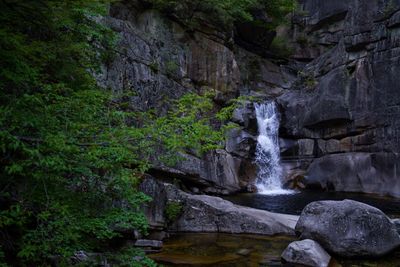 Scenic view of waterfall in forest