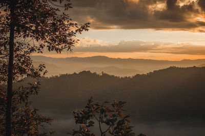 Scenic view of tree mountains against sky during sunset